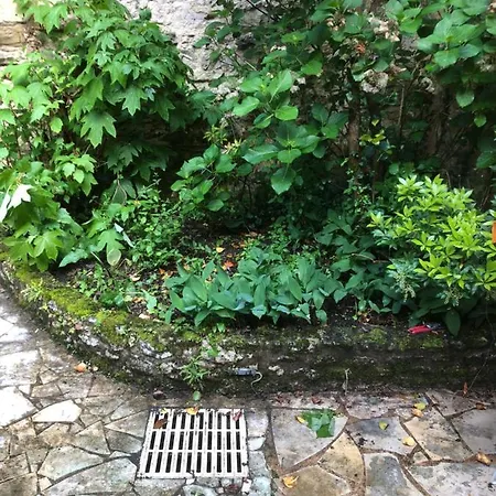 別荘 Maison Hyper Centre Perigord
